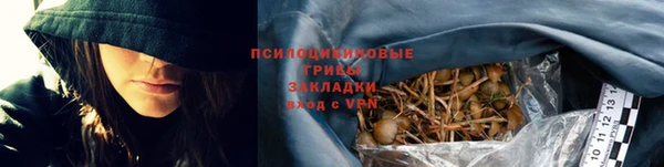эйфоретик Аркадак