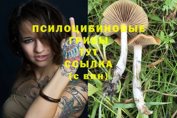 спиды Армянск